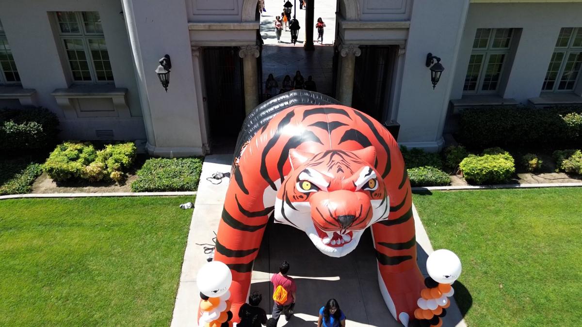 Benny The Tiger