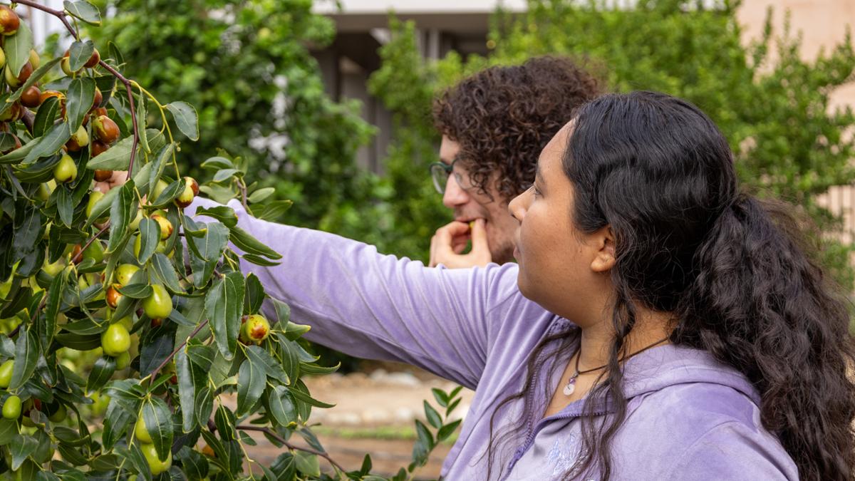 Two students looking at fruit in the RCC Garden