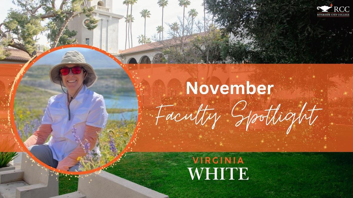 viriginia white graphic