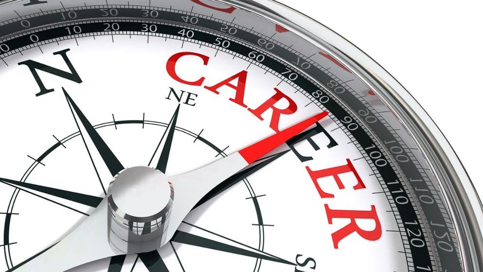 Career compass